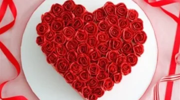 عيد الحب في 4 نوفمبر: أصل التسمية وأسباب استمراره كمناسبة غير رسمية